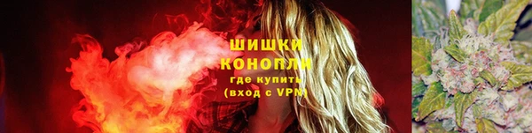 соль ск Алексин