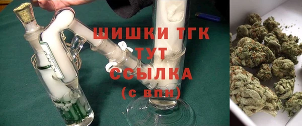 соль ск Алексин