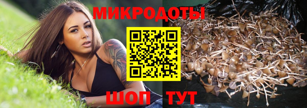 Саров  Галлюциногенные грибы Magic Shrooms  Вход с VPN 
